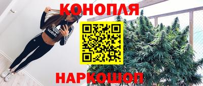 Альфа ПВП Новозыбков
