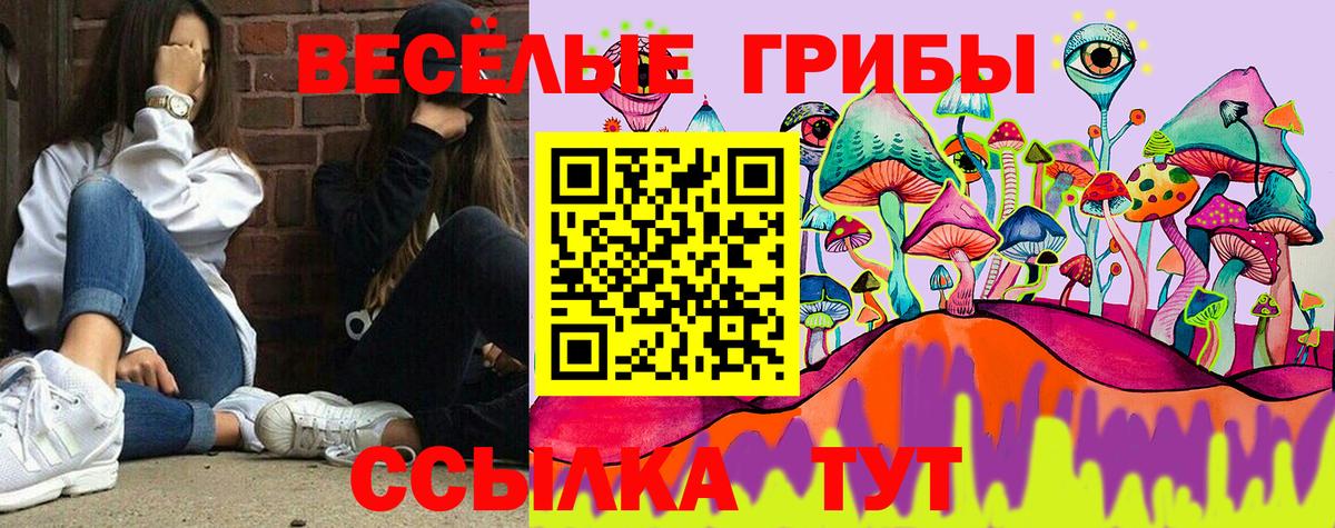 Галлюциногенные грибы Magic Shrooms Ступино