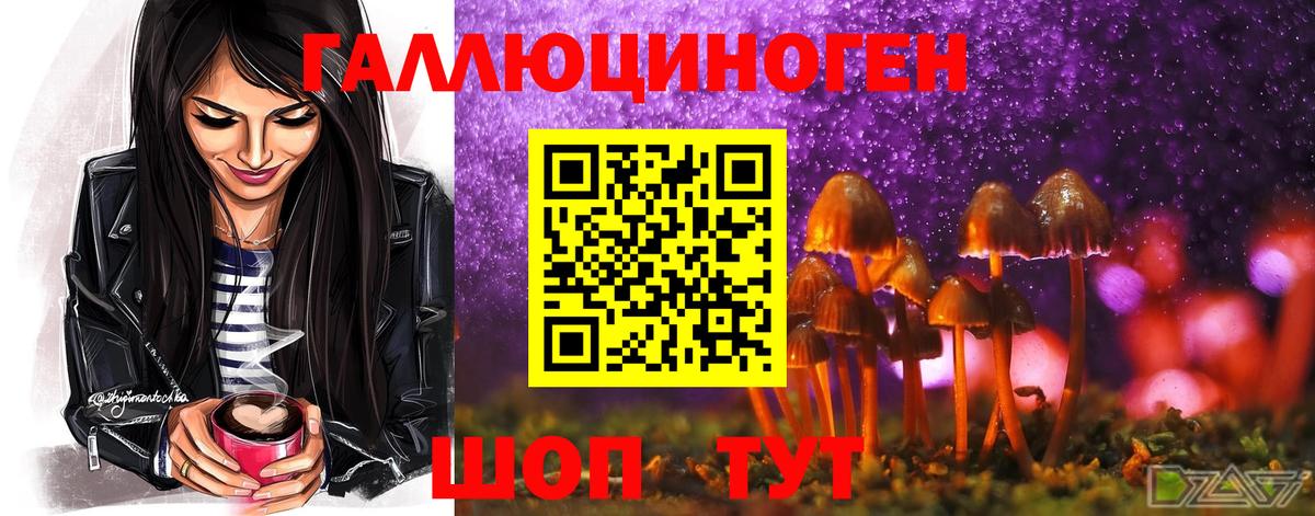 закладки  Вход с VPN  Ступино  Галлюциногенные грибы Cubensis 